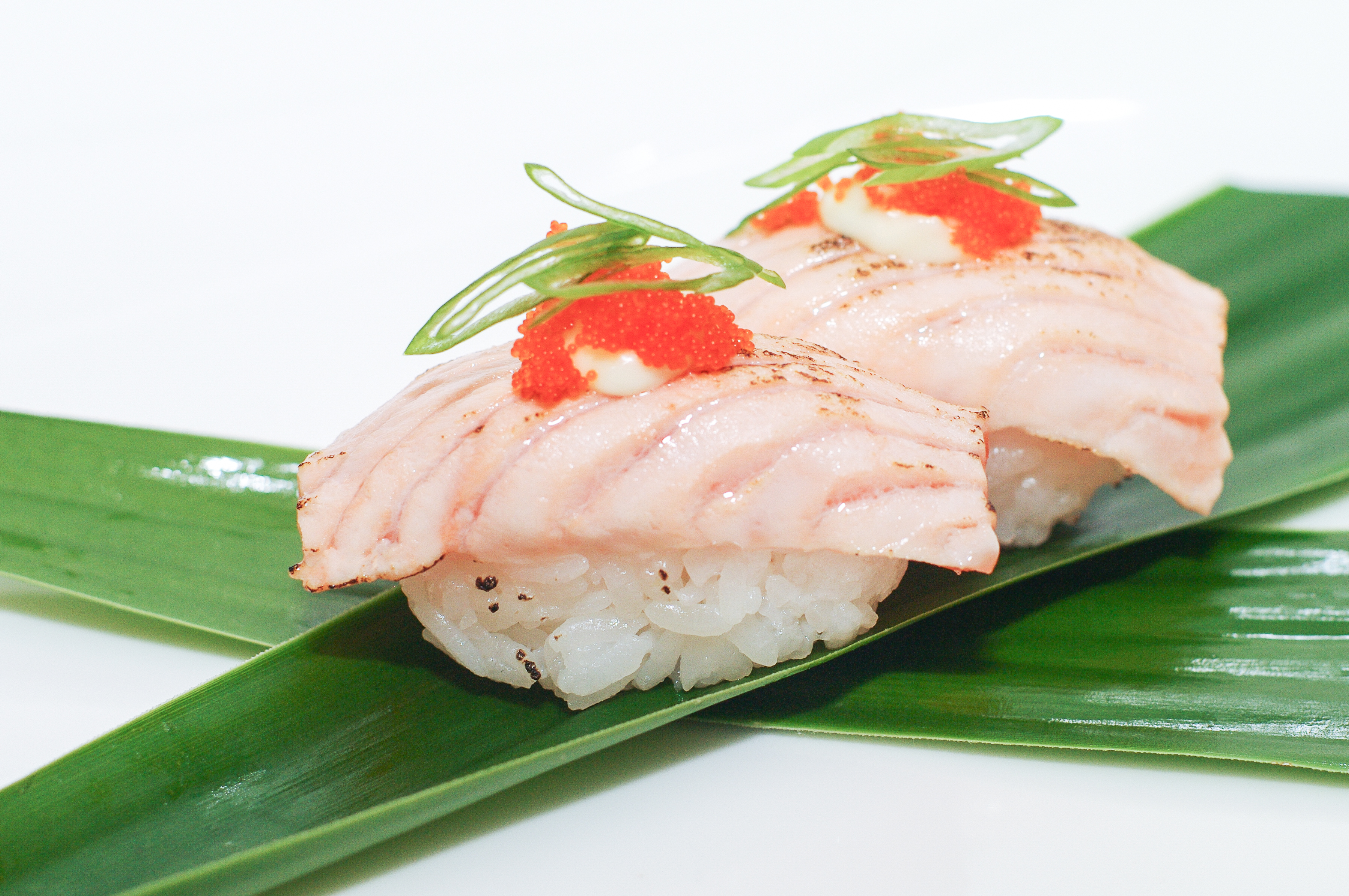 Sake Aburi Nigiri
